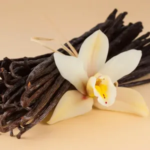 Poudre parfumée 200 grammes - Vanille des îles