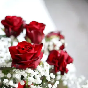 Suspension parfumée cercle - Rose éternelle