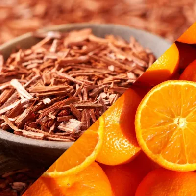 Suspension parfumée hexagonale - Dupe - Invictus