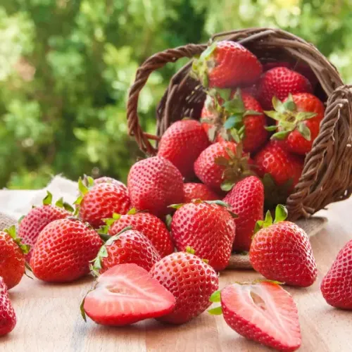 Poudre parfumée 100 grammes - Fraise